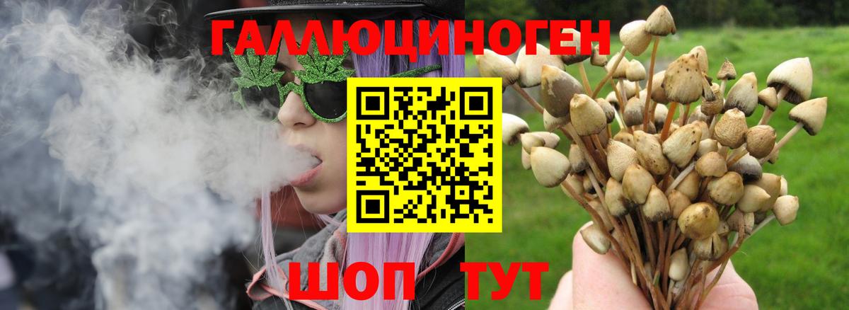 Воткинск  Псилоцибиновые грибы MAGIC MUSHROOMS  Вход с VPN 